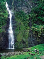tahiti-waterfall.jpg